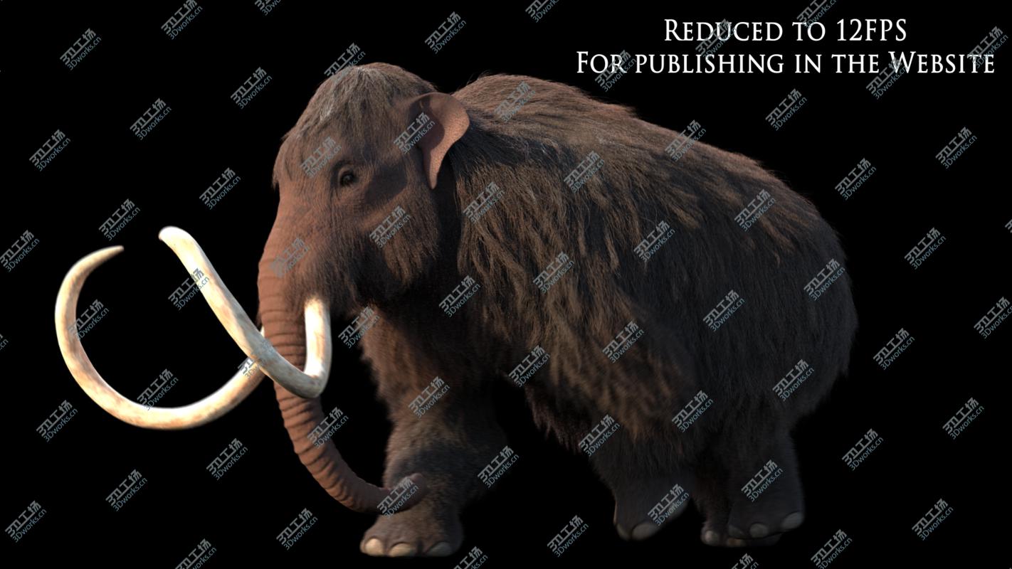 images/goods_img/20210319/3D Mammuthus primigenius Anatomy Pack model/5.jpg